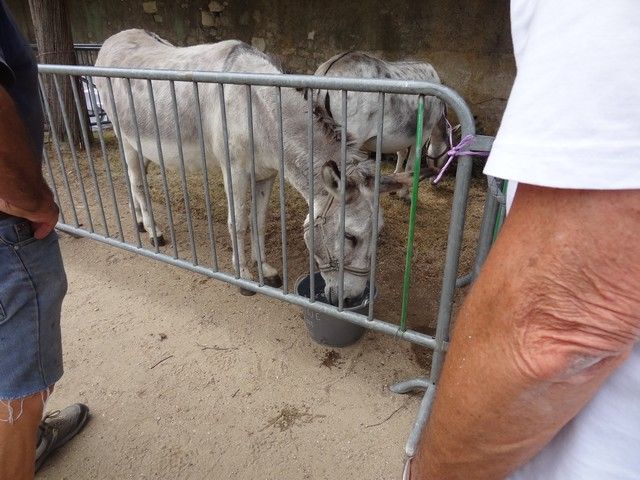 fete ane 2018 (28).JPG